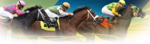 Bí Kíp Cá Cược Đua Ngựa 1xBit Giúp Bạn Bách Chiến Bách Thắng