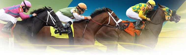 Bí Kíp Cá Cược Đua Ngựa 1xBit Giúp Bạn Bách Chiến Bách Thắng