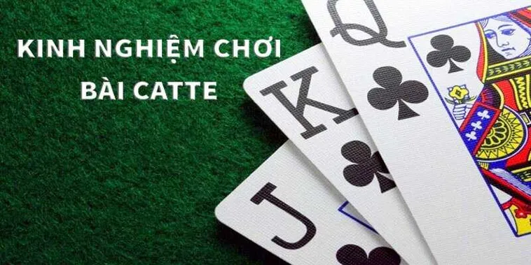 Bật Mí Cách Chơi Sắc Tê Nhà Cái 1xBit Chi Tiết Từ A Đến Z